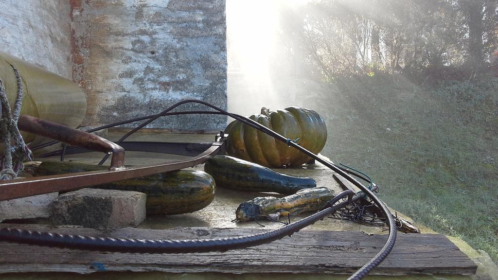 Villa Maria Bed & Breakfast, Corridonia, Marche Buitenkant foto